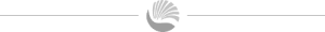 web-line-logo-new (1)